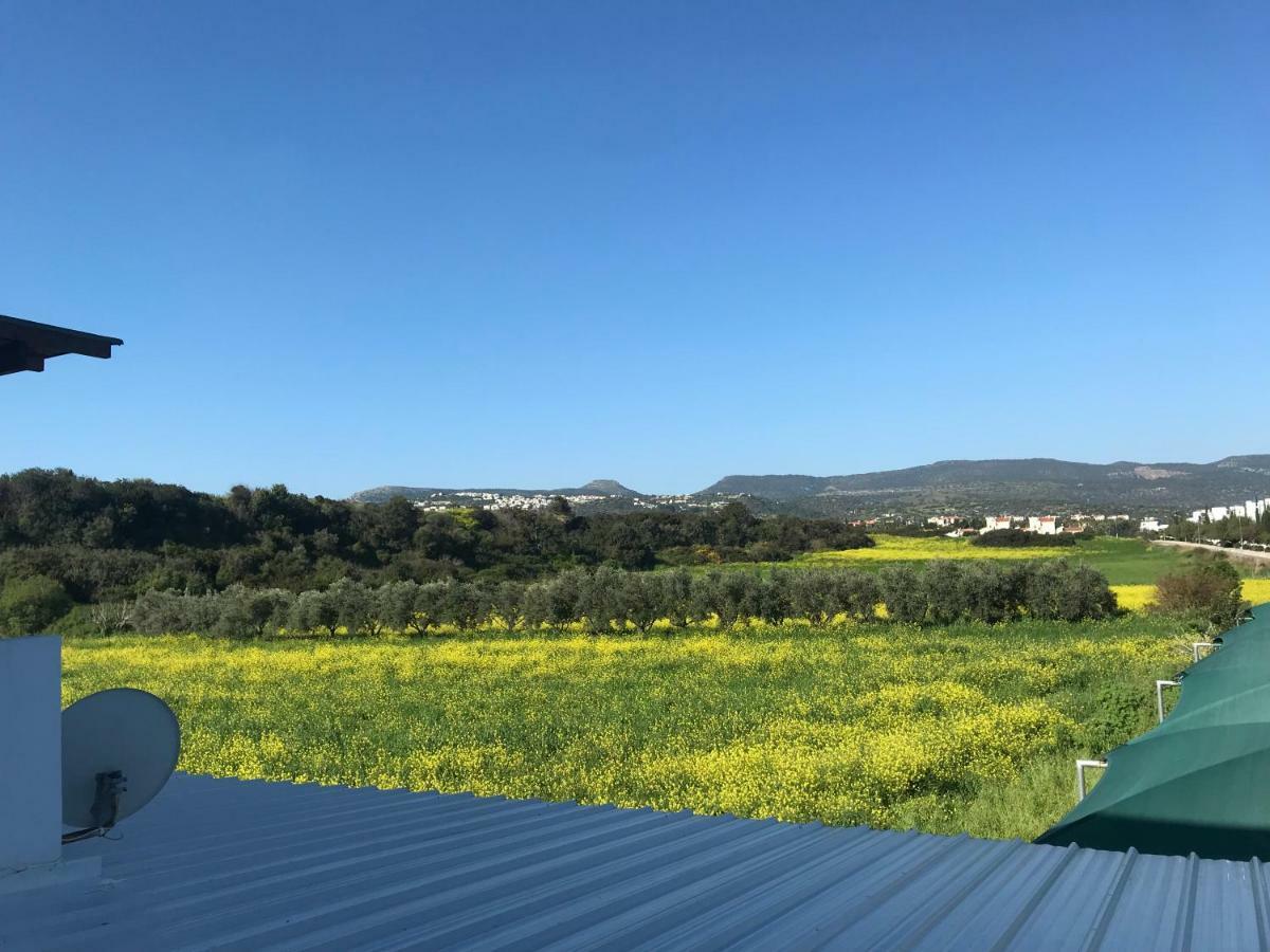 Latchi Holiday Flat Polis Buitenkant foto